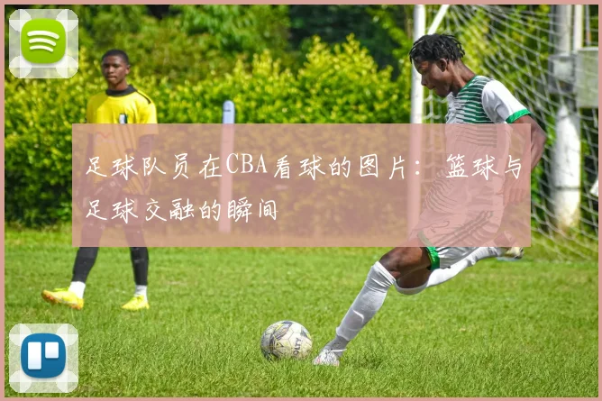 足球队员在CBA看球的图片:篮球与足球交融的瞬间
