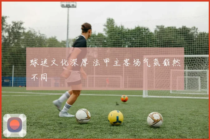 球迷文化深厚 法甲主客场气氛截然不同